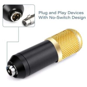 Podcast Mic Set