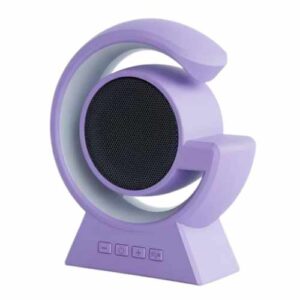 Wireless Speaker
