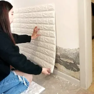 Wall Sticker